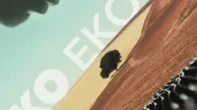 Eko Eko Eko